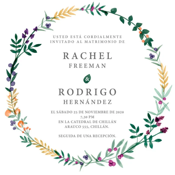 Modelo Rachel | Whatsapp